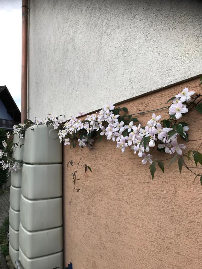 Appart Les Cerises Entre Strasbourg Et Haguenau Bischwiller Luaran gambar