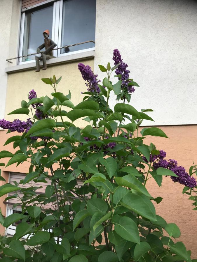 Appart Les Cerises Entre Strasbourg Et Haguenau Bischwiller Luaran gambar